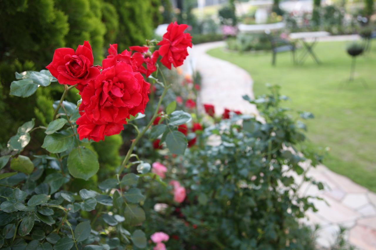 Hotel Sunlife Garden Hiratsuka Zewnętrze zdjęcie