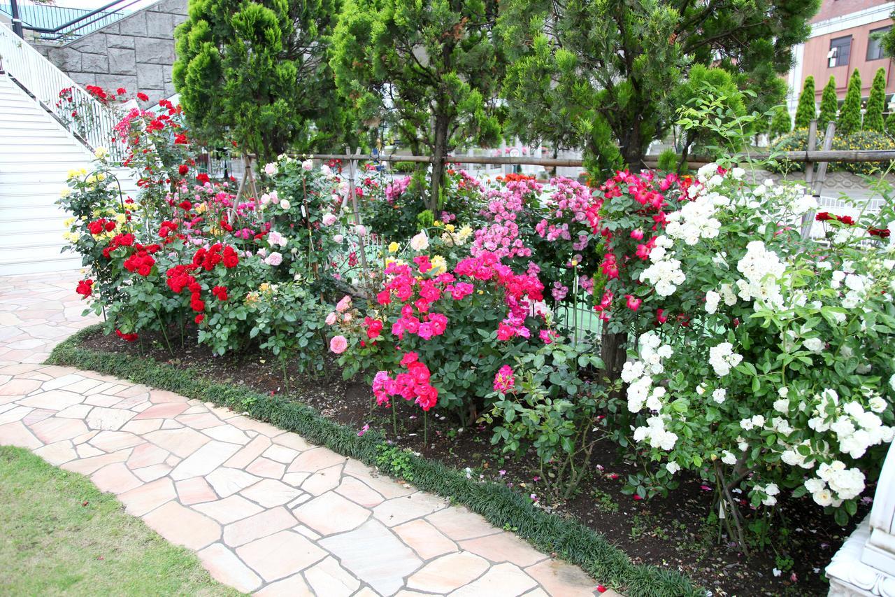 Hotel Sunlife Garden Hiratsuka Zewnętrze zdjęcie